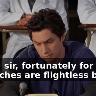 74f2611c-a49e-4d82-ab5f-682a6b6f7f61.gif