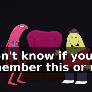 I don't know if you remember this or not,