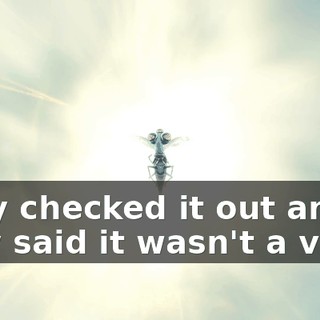 They checked it out and they said it wasn't a virus,