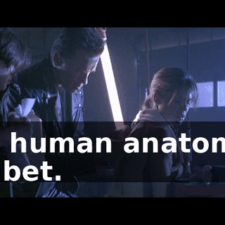75172226-e508-490a-b667-e81331e4b0ae.gif