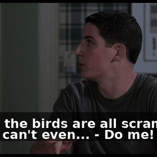 - And the birds are all scrambled and I can't even... - Do me! Yes!