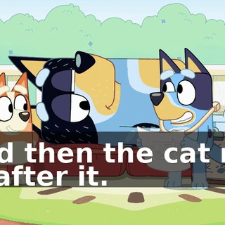 And then the cat ran in after it.