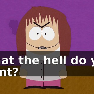 What the hell do you want?