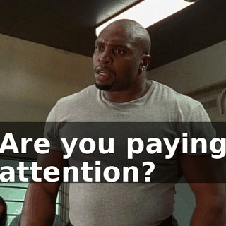 Are you paying attention?