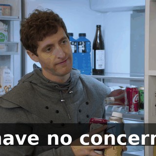 I have no concerns.