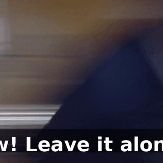 Ow! Leave it alone!
