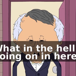 What in the hell's going on in here?