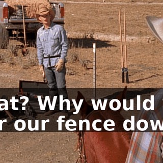What? Why would you tear our fence down?