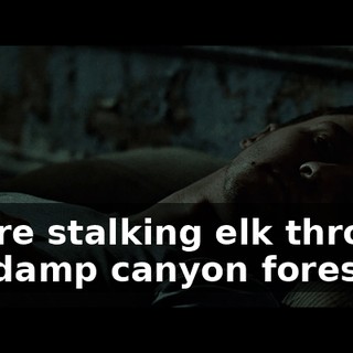 you're stalking elk through the damp canyon forest,