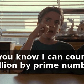 Did you know I can count to a million by prime numbers?