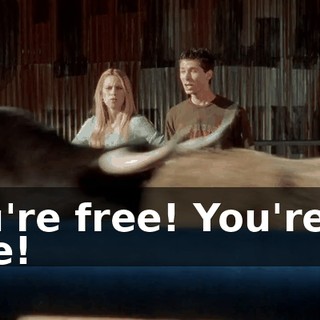 You're free! You're all free!