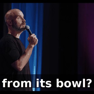 from its bowl?