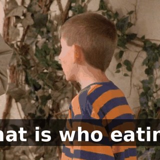 What is who eating?