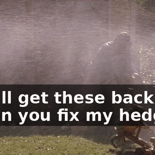 You'll get these back when you fix my hedges!