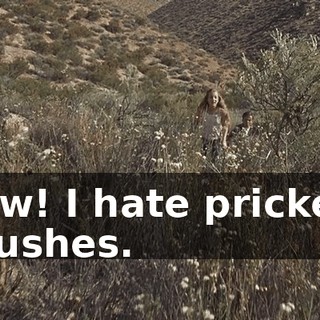 Ow! I hate pricker bushes.