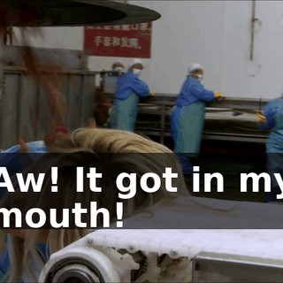 784c73e5-3250-4548-81b7-dbd9df5abd04.gif