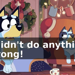 I didn't do anything wrong!