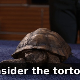 7888c5bd-c146-42fb-b7aa-213365366455.gif