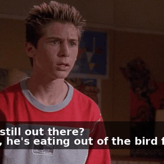 - He's still out there? - Yeah, he's eating out of the bird feeder.