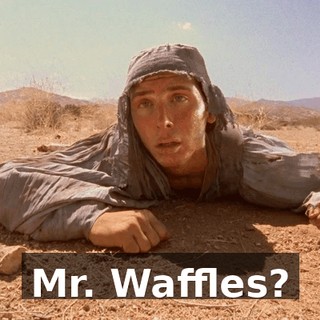 Mr. Waffles?