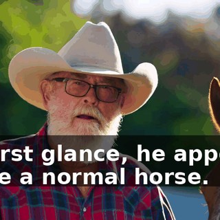 At first glance, he appears to be a normal horse.