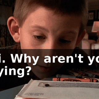 Hi. Why aren't you flying?