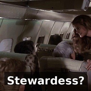 Stewardess?