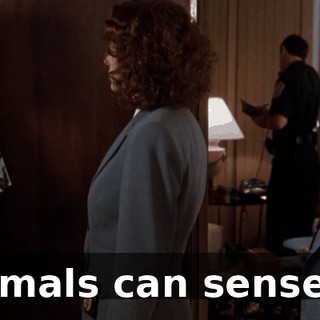 795eddf4-cf9c-43d5-9465-7eeb5a6cf77d.gif