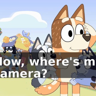 796282d1-db00-49b1-a872-6e3e044069fb.gif