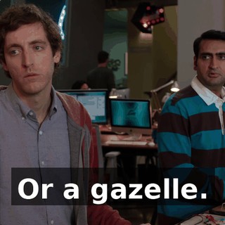 Or a gazelle.
