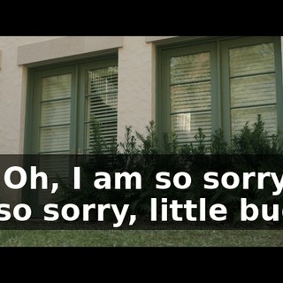 Oh! Oh, I am so sorry. I'm so sorry, little buddy.