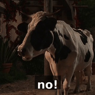 no!