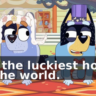 I'm the luckiest horse in the world.