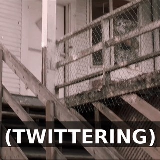 (TWITTERING)