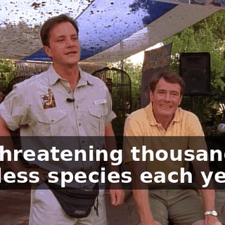 It's threatening thousands of helpless species each year