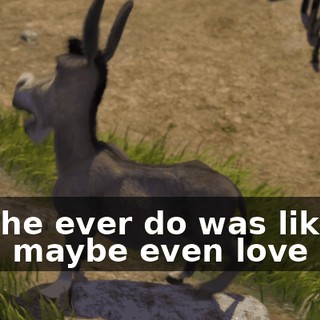 All she ever do was like you, maybe even love you.