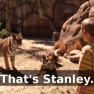 That's Stanley.