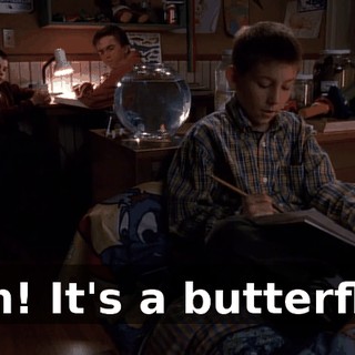 Ah! It's a butterfly.