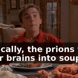 Basically, the prions turn their brains into soup