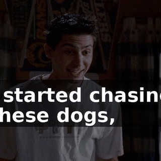 I started chasing these dogs,
