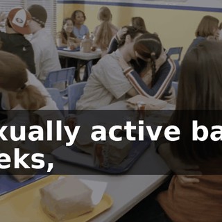 sexually active band geeks,