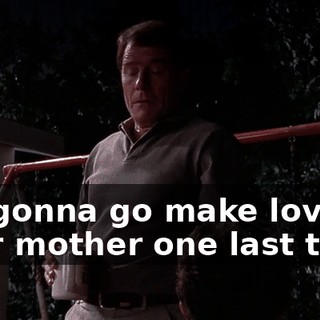 I'm gonna go make love to your mother one last time.