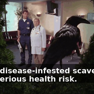7b9a4a07-e2ad-4df9-a4ca-4acf71512428.gif