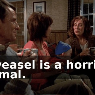 A weasel is a horrible animal.