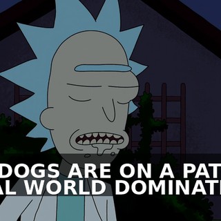 7bd9339f-90e2-4b01-8283-2a7995036a6c.gif