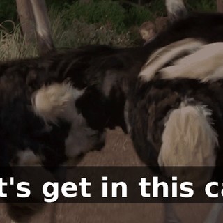 7beeaffb-be40-46ce-a75c-c566c21bc182.gif