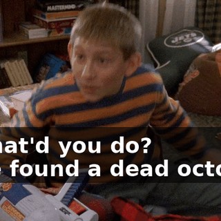 - What'd you do? - We found a dead octopus