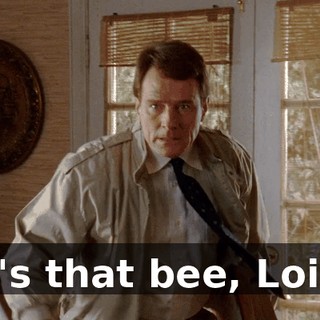 It's that bee, Lois.