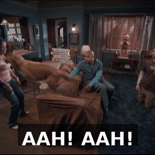 7ca6c1ad-ade2-444e-b04a-219b67fb384a.gif