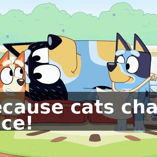 Because cats chase mice!